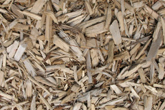 biomass boilers Padney
