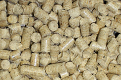 Padney biomass boiler costs